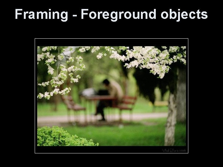 Framing - Foreground objects 