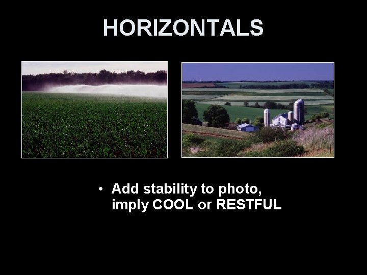 HORIZONTALS • Add stability to photo, imply COOL or RESTFUL 