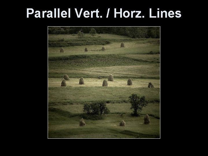 Parallel Vert. / Horz. Lines 
