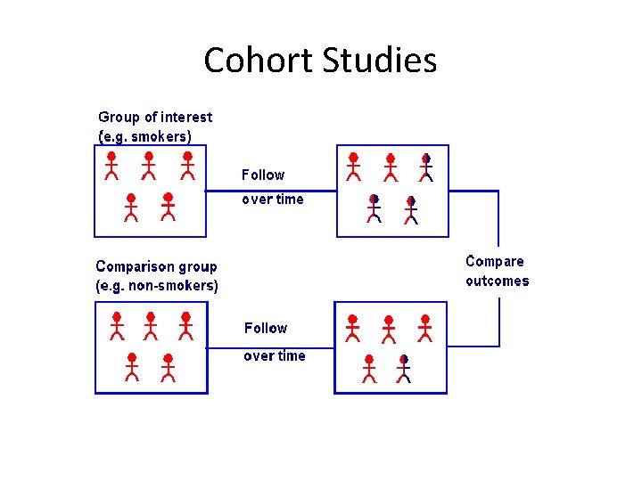 Cohort Studies 