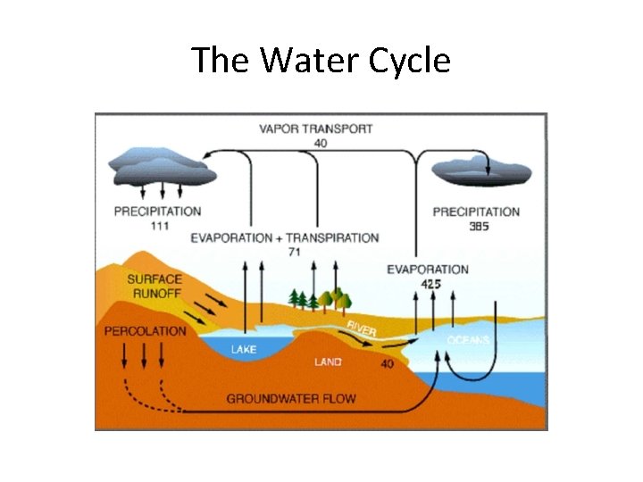 The Water Cycle 