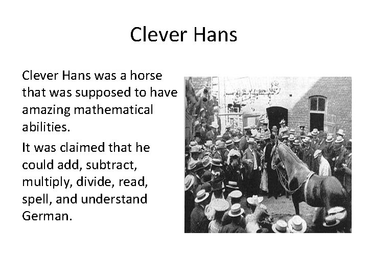 Clever Hans was a horse that was supposed to have amazing mathematical abilities. It