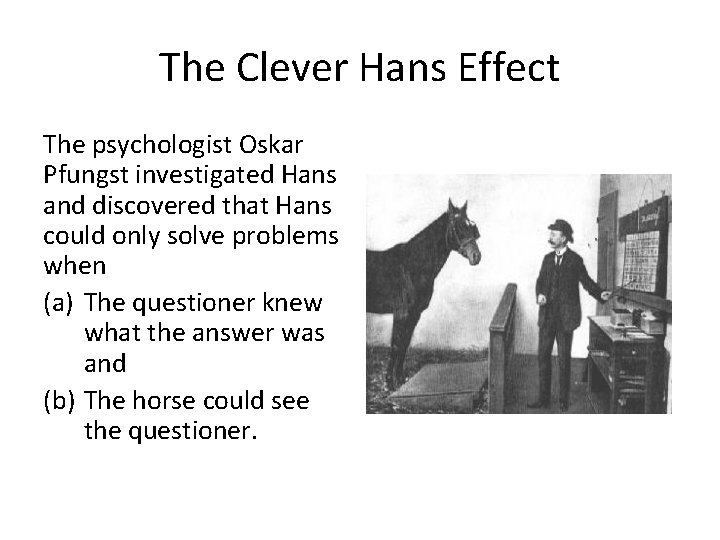 The Clever Hans Effect The psychologist Oskar Pfungst investigated Hans and discovered that Hans