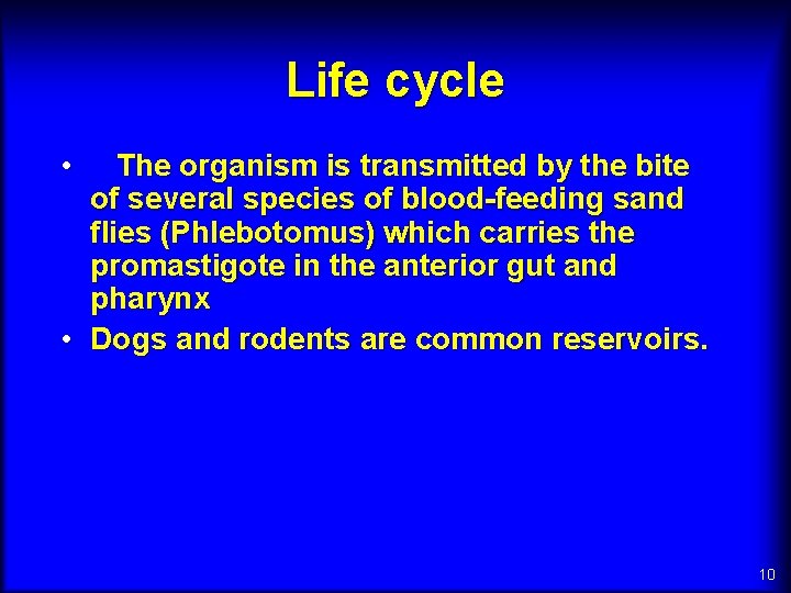 Life cycle • The organism is transmitted by the bite of several species of