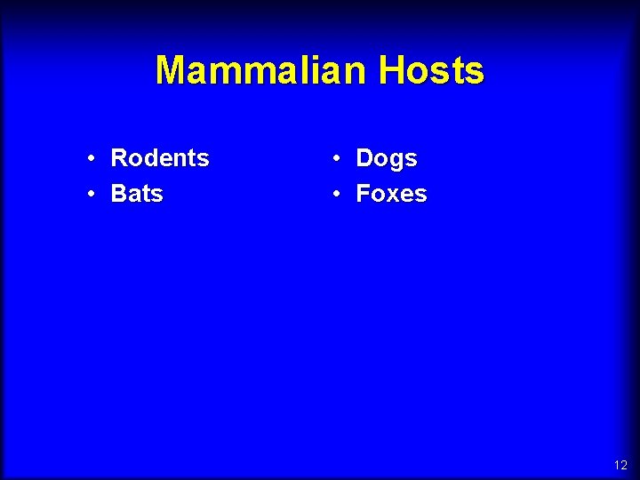 Mammalian Hosts • Rodents • Bats • Dogs • Foxes 12 