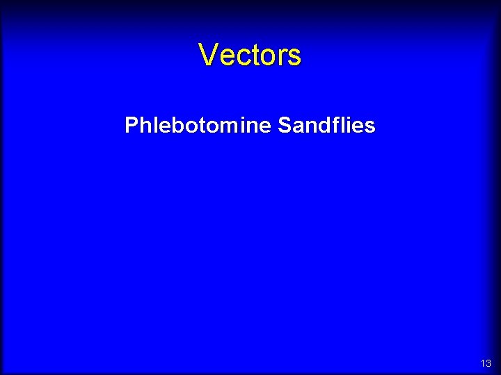 Vectors Phlebotomine Sandflies 13 