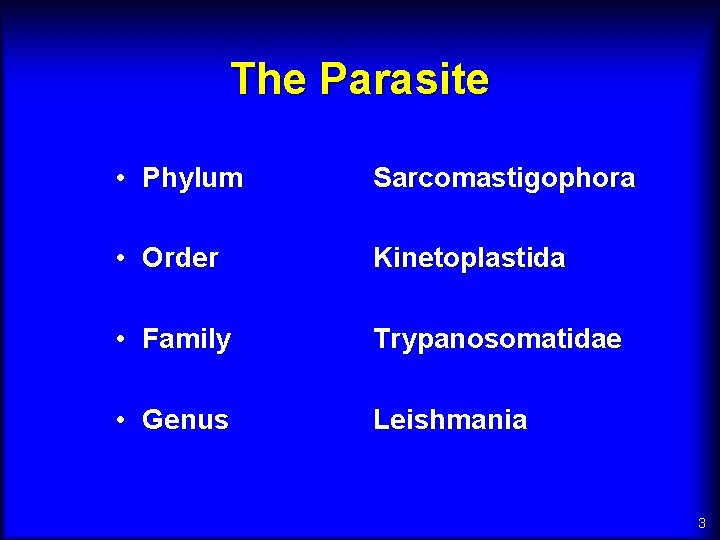 The Parasite • Phylum Sarcomastigophora • Order Kinetoplastida • Family Trypanosomatidae • Genus Leishmania