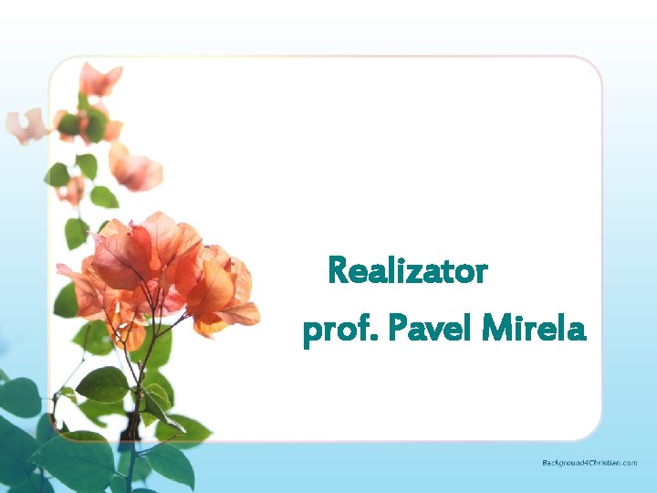 Realizator prof. Pavel Mirela Realizator prof. Pavel Mirela