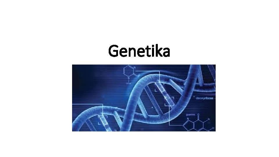 Genetika 