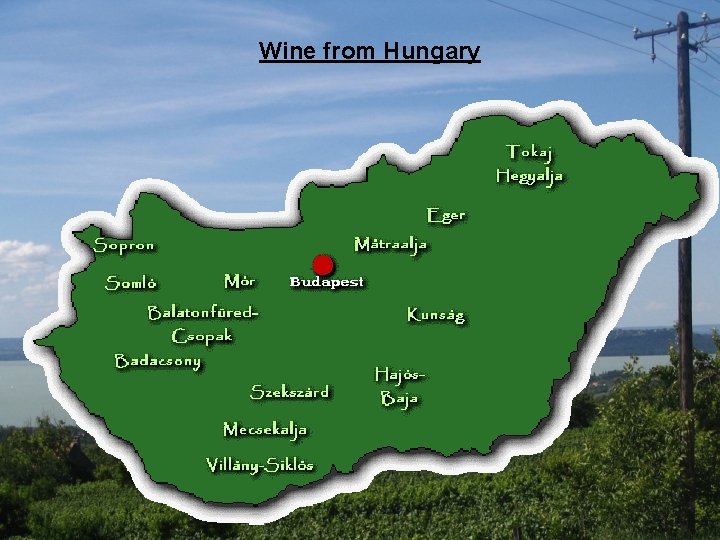 Wine from Hungary 