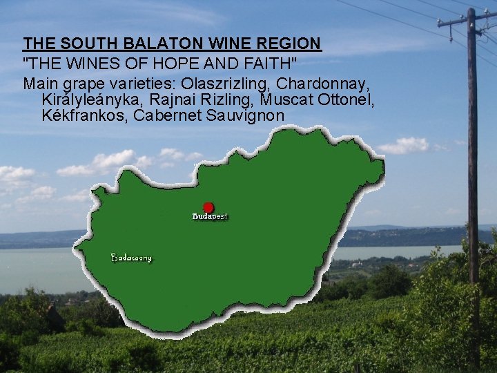 THE SOUTH BALATON WINE REGION "THE WINES OF HOPE AND FAITH" Main grape varieties: