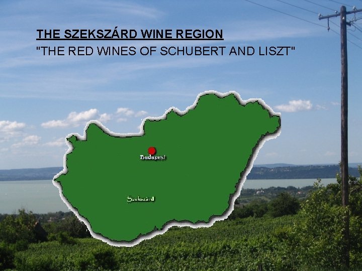 THE SZEKSZÁRD WINE REGION "THE RED WINES OF SCHUBERT AND LISZT" 