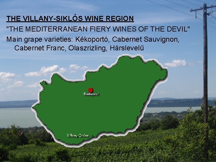 THE VILLANY-SIKLÓS WINE REGION "THE MEDITERRANEAN FIERY WINES OF THE DEVIL" Main grape varieties: