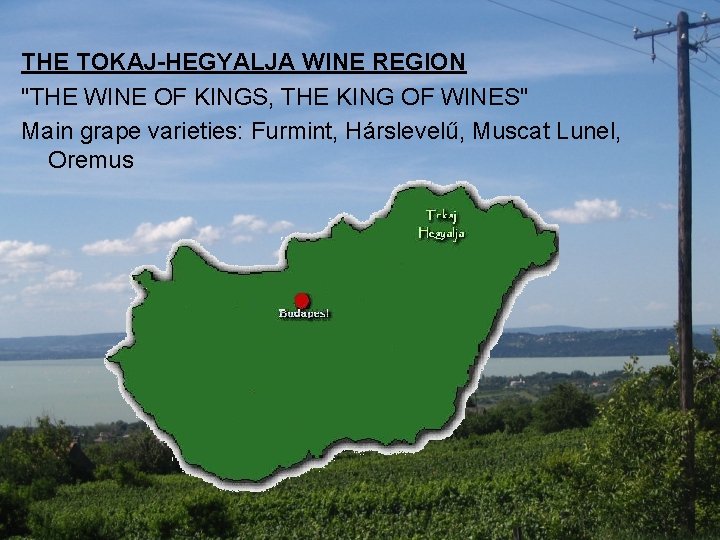 THE TOKAJ-HEGYALJA WINE REGION "THE WINE OF KINGS, THE KING OF WINES" Main grape