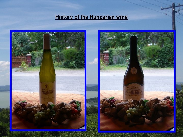 History of the Hungarian wine 