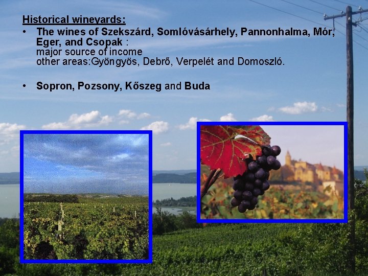 Historical wineyards: • The wines of Szekszárd, Somlóvásárhely, Pannonhalma, Mór, Eger, and Csopak :