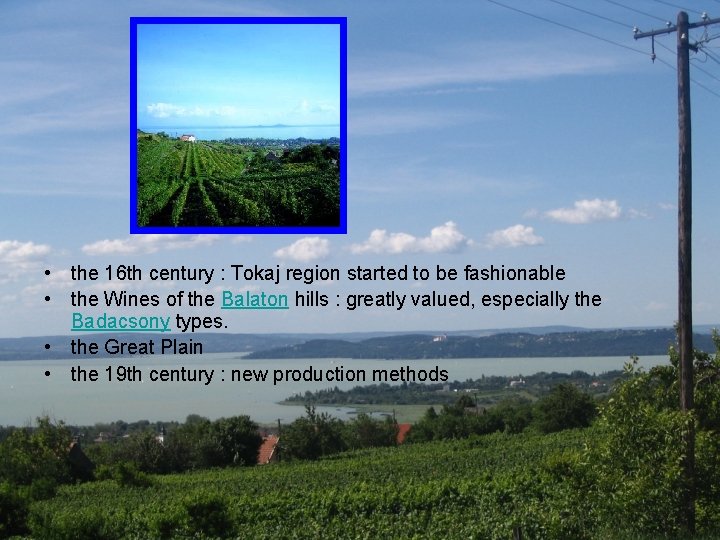  • the 16 th century : Tokaj region started to be fashionable •