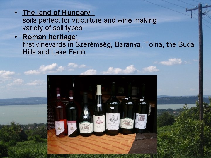  • The land of Hungary : soils perfect for viticulture and wine making
