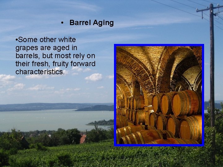  • Barrel Aging • Some other white grapes are aged in barrels, but