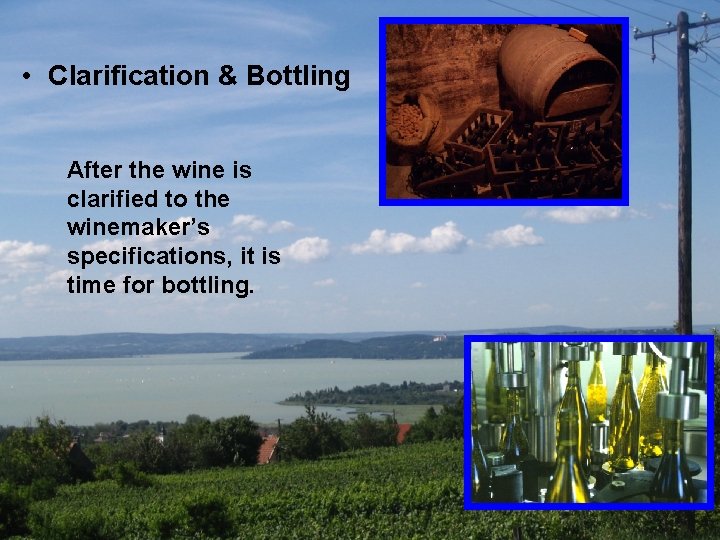  • Clarification & Bottling After the wine is clarified to the winemaker’s specifications,