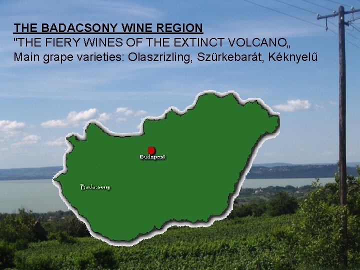 THE BADACSONY WINE REGION "THE FIERY WINES OF THE EXTINCT VOLCANO„ Main grape varieties: