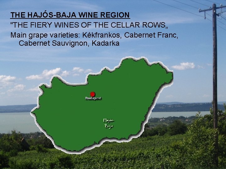 THE HAJÓS-BAJA WINE REGION "THE FIERY WINES OF THE CELLAR ROWS„ Main grape varieties: