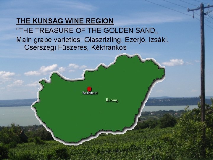 THE KUNSAG WINE REGION "THE TREASURE OF THE GOLDEN SAND„ Main grape varieties: Olaszrizling,
