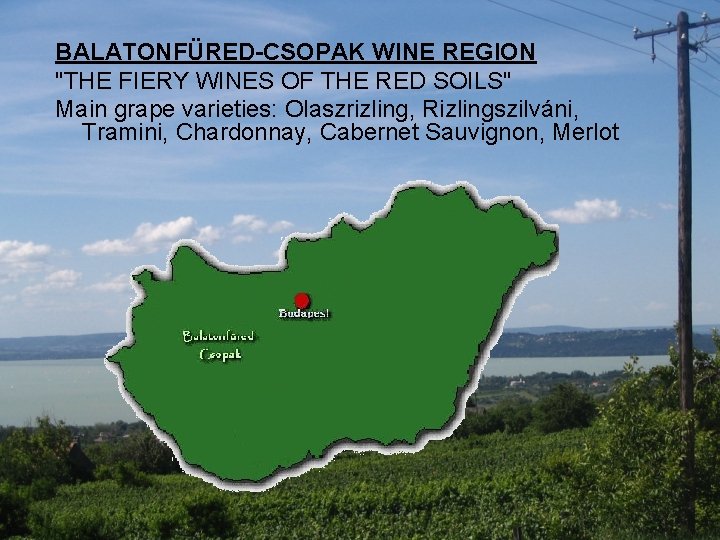 BALATONFÜRED-CSOPAK WINE REGION "THE FIERY WINES OF THE RED SOILS" Main grape varieties: Olaszrizling,