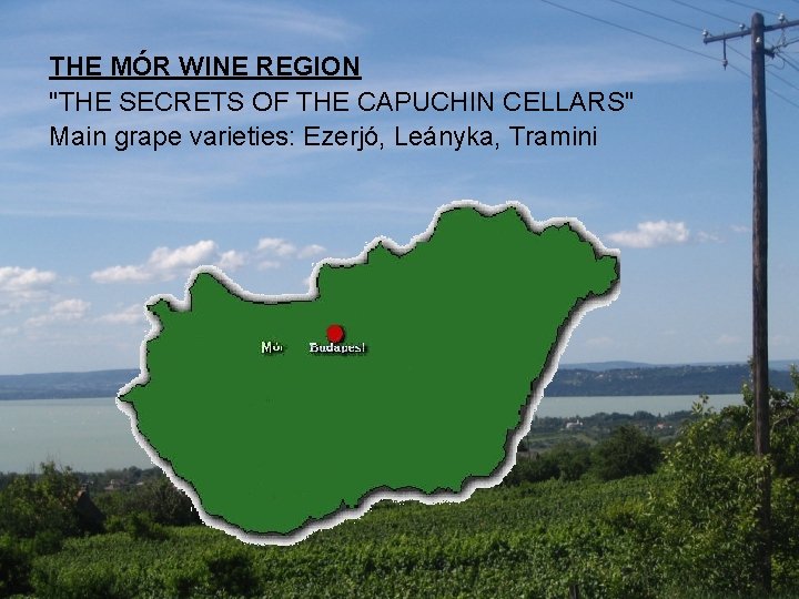 THE MÓR WINE REGION "THE SECRETS OF THE CAPUCHIN CELLARS" Main grape varieties: Ezerjó,