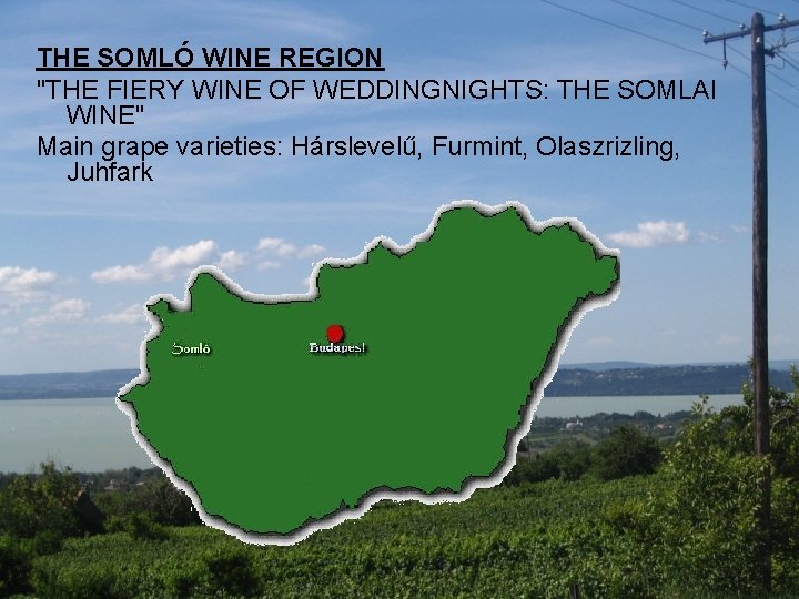 THE SOMLÓ WINE REGION "THE FIERY WINE OF WEDDINGNIGHTS: THE SOMLAI WINE" Main grape