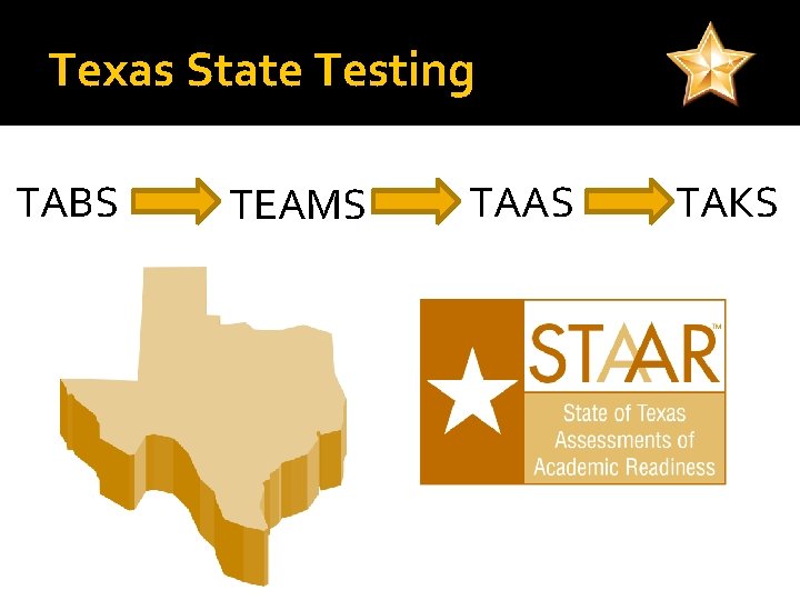 Texas State Testing TABS TEAMS TAAS TAKS 