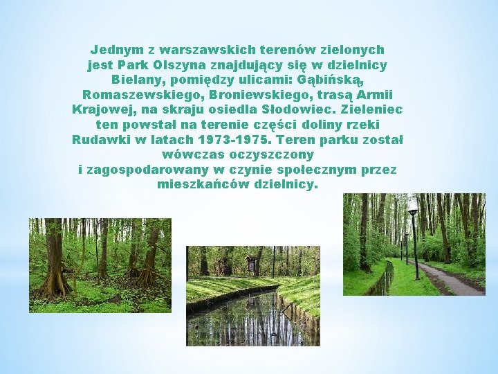Jednym z warszawskich terenów zielonych jest Park Olszyna znajdujący się w dzielnicy Bielany, pomiędzy