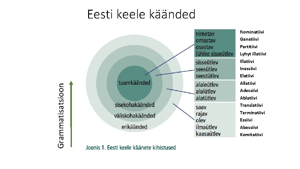 Grammatisatsioon Eesti keele käänded Nominatiivi Genetiivi Partitiivi Lyhyt illatiivi Inessiivi Elatiivi Allatiivi Adessiivi Ablatiivi