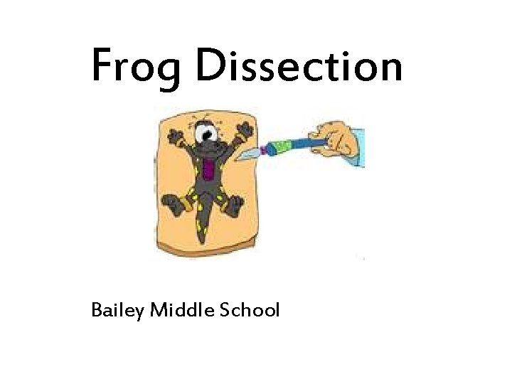 Frog Dissection Bailey Middle School 