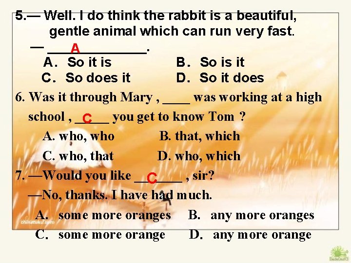 5. — Well. I do think the rabbit is a beautiful, gentle animal which