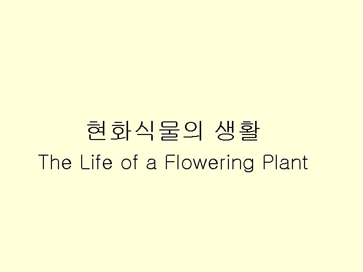 CHAPTER 28 현화식물의 생활 The Life of a Flowering Plant 
