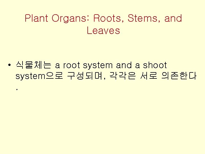 Plant Organs: Roots, Stems, and Leaves • 식물체는 a root system and a shoot