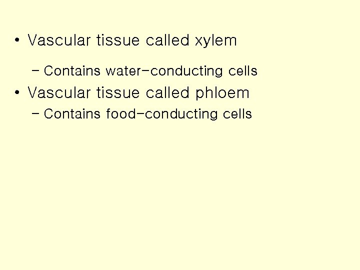  • Vascular tissue called xylem – Contains water-conducting cells • Vascular tissue called