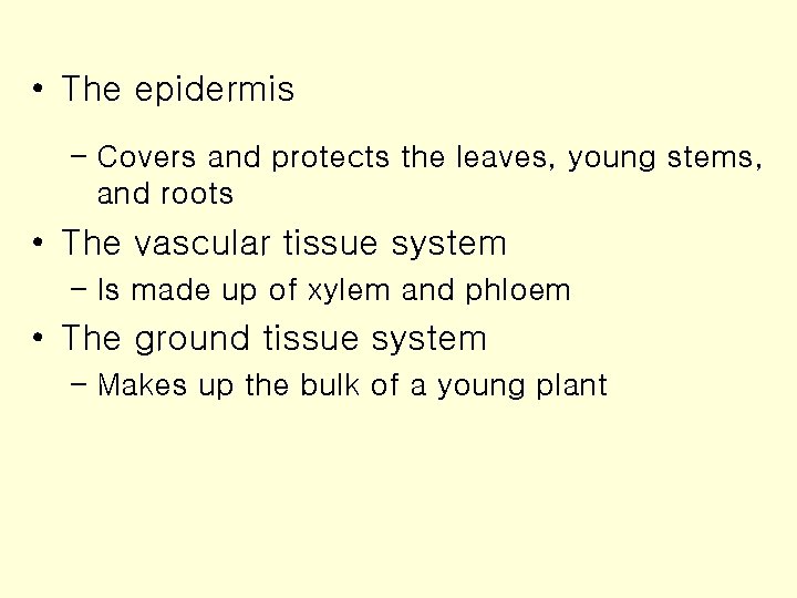  • The epidermis – Covers and protects the leaves, young stems, and roots