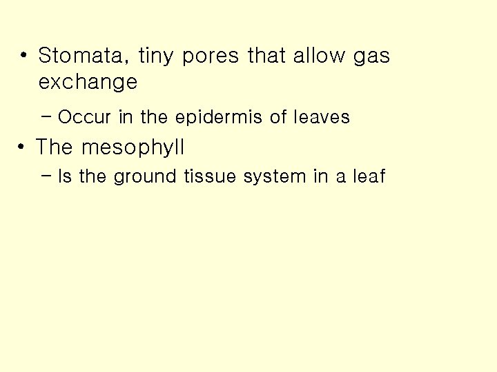  • Stomata, tiny pores that allow gas exchange – Occur in the epidermis