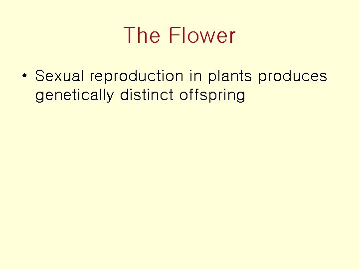 The Flower • Sexual reproduction in plants produces genetically distinct offspring 
