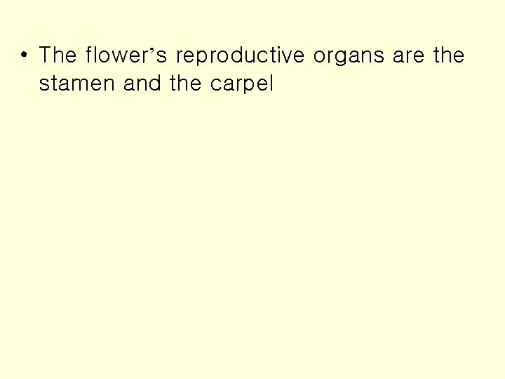  • The flower’s reproductive organs are the stamen and the carpel 