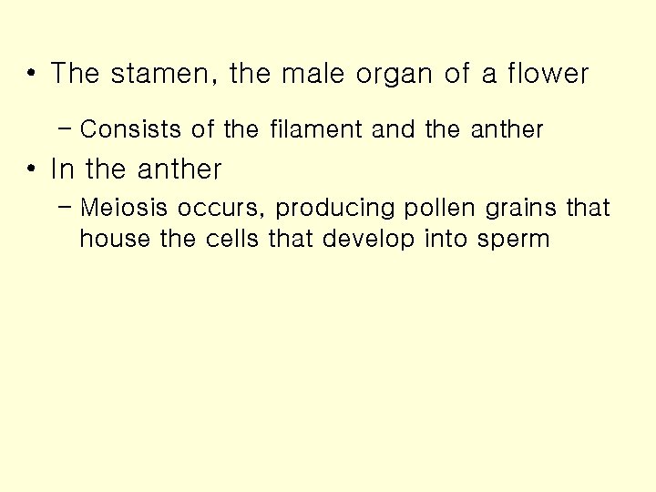  • The stamen, the male organ of a flower – Consists of the