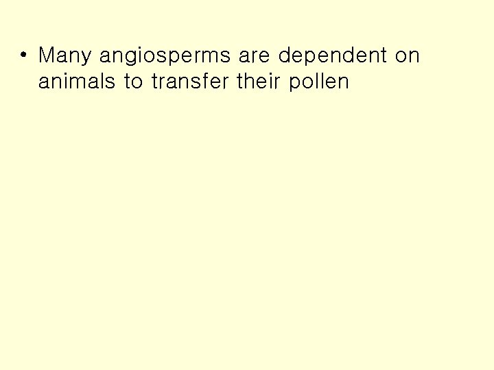  • Many angiosperms are dependent on animals to transfer their pollen 