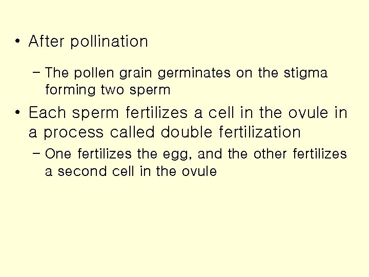  • After pollination – The pollen grain germinates on the stigma forming two