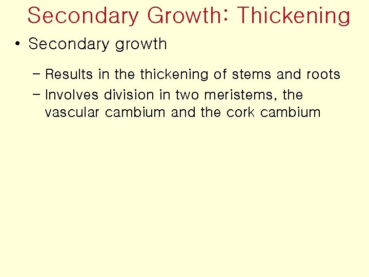 Secondary Growth: Thickening • Secondary growth – Results in the thickening of stems and