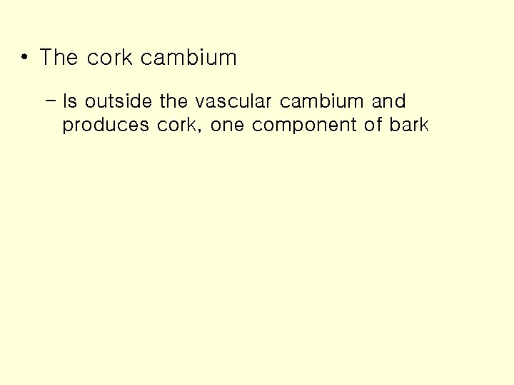  • The cork cambium – Is outside the vascular cambium and produces cork,