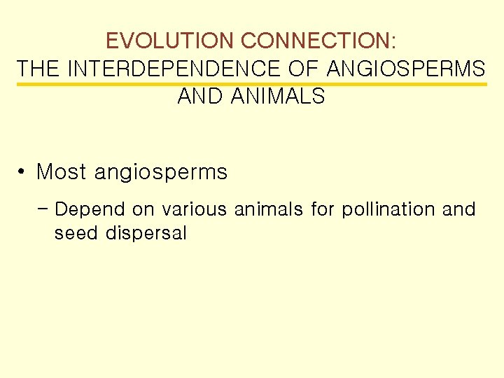 EVOLUTION CONNECTION: THE INTERDEPENDENCE OF ANGIOSPERMS AND ANIMALS • Most angiosperms – Depend on