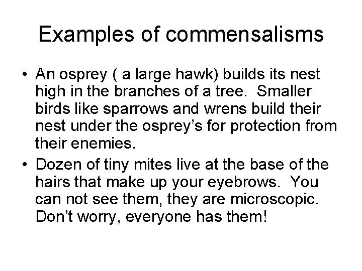 Examples of commensalisms • An osprey ( a large hawk) builds its nest high