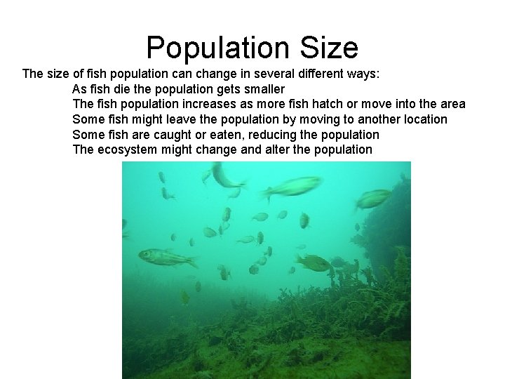 Population Size The size of fish population can change in several different ways: As